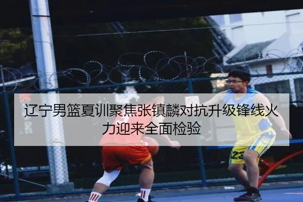 辽宁男篮夏训聚焦张镇麟对抗升级锋线火力迎来全面检验
